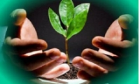 Môi trường đứng đầu danh sách những rủi ro toàn cầu