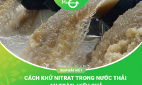 Hướng Dẫn Cách Khử Nitrat Trong Nước Thải Hiệu Quả