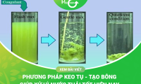 Xử Lý Nước Thải Bằng Phương Pháp Keo Tụ