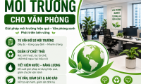 Tư vấn môi trường cho văn phòng