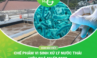 Các Loại Vi Sinh Xử Lý Nước Thải
