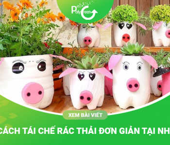 Tổng Hợp 100 Cách Tái Chế Rác Thải Tại Nhà Đơn Giản Và Thông Minh