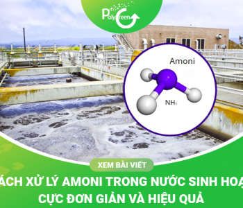 Cách Xử Lý Amoni Trong Nước Sinh Hoạt 