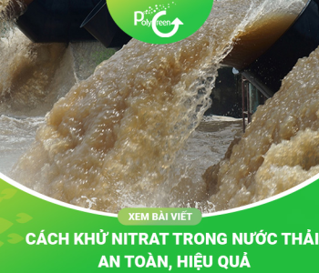 Hướng Dẫn Cách Khử Nitrat Trong Nước Thải Hiệu Quả