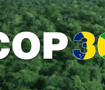 Hội nghị COP30: Việt Nam cần chuẩn bị những gì?