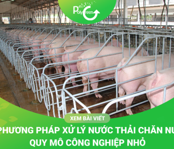 Xử Lý Nước Thải Chăn Nuôi
