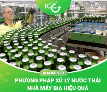 Phương Pháp Xử Lý Nước Thải Nhà Máy Bia Hiệu Quả Năm 2024